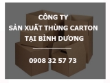 Giới thiệu về công ty sản xuất thùng carton tại Bình Dương