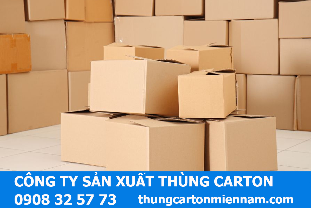 công ty sản xuất thùng carton bảo vệ hàng hóa