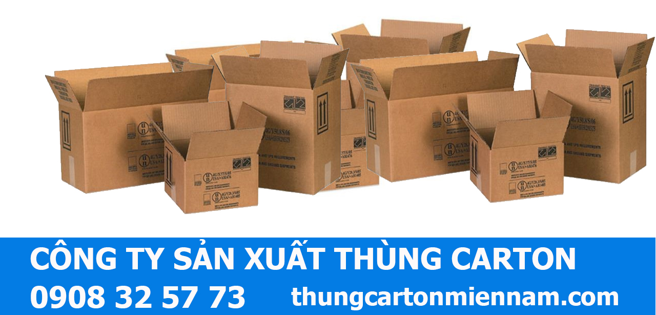 công ty sản xuất thùng carton in flexo