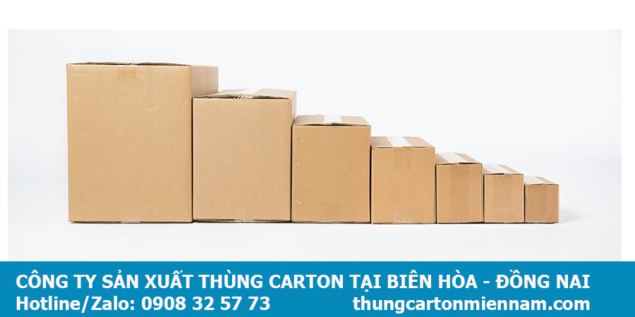 Công ty sản xuất thùng carton tại Biên Hòa Đồng Nai 2
