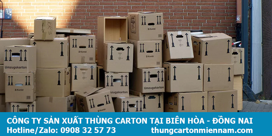 Công ty sản xuất thùng carton tại Biên Hòa Đồng Nai 3