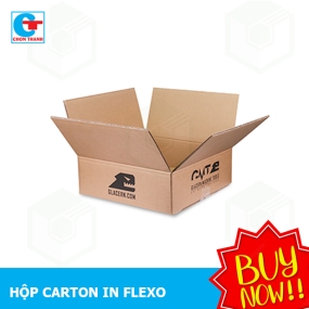 Thùng giấy, hộp giấy carton