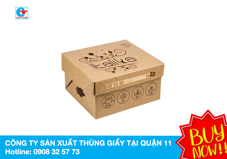 Hướng dẫn cách chọn mua thùng giấy carton quận 11 1