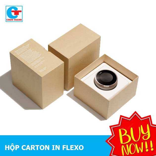 In flexo thùng carton 3 lớp 10x10x7